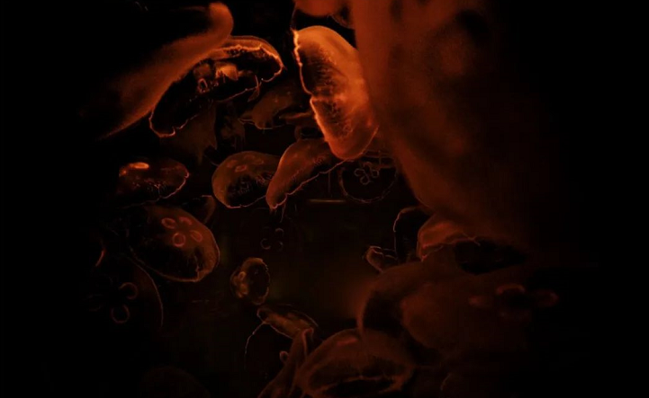 r202104150549206980.png